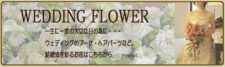 広島市の花屋、フラート。ウェディングブーケ・ブライダルブーケ・格安フラワーシャワーなど。結婚式のお花に関する事は、ご相談下さい。広島市内送料無料。